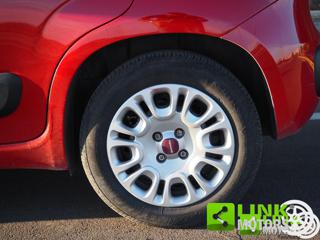 FIAT Panda usata 42
