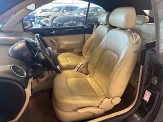 VOLKSWAGEN New Beetle usata, con Fendinebbia