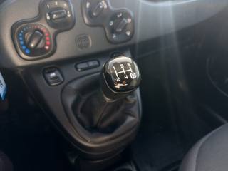 FIAT Panda usata 12