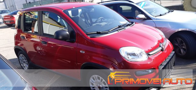 FIAT Panda usata, con Antifurto