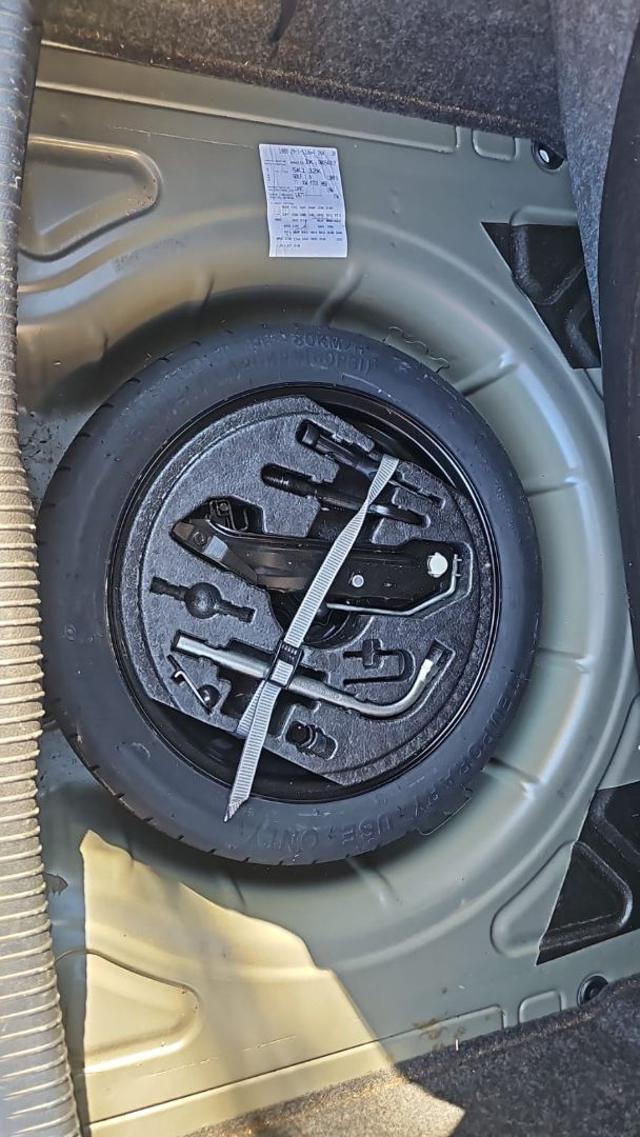 VOLKSWAGEN Golf usata, con ESP