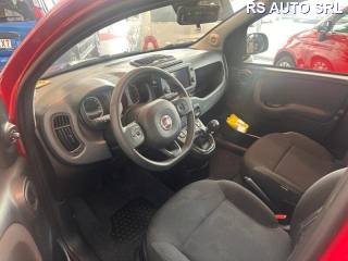 FIAT Panda Cross usata, con Antifurto