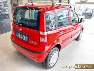 FIAT Panda usata, con Servosterzo