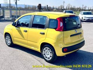 FIAT Panda usata, con Alzacristalli elettrici
