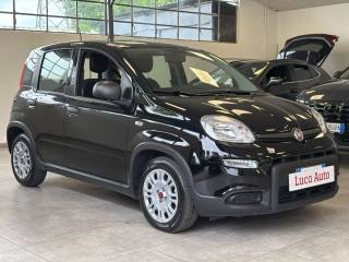 FIAT Panda usata, con Airbag Passeggero