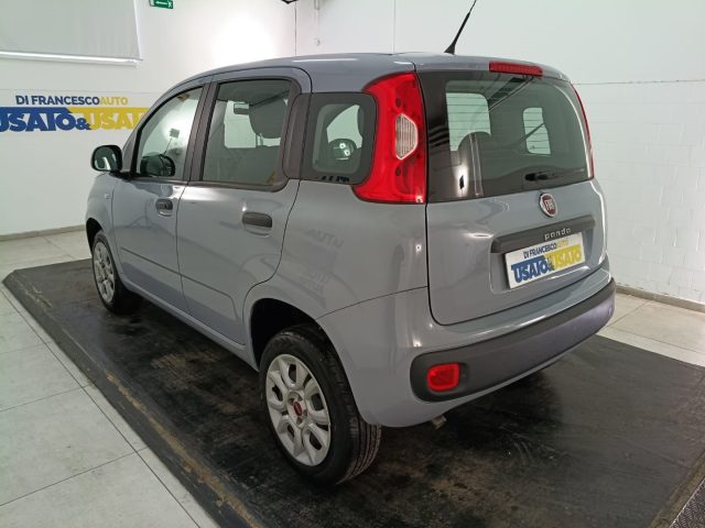 FIAT Panda usata, con Servosterzo