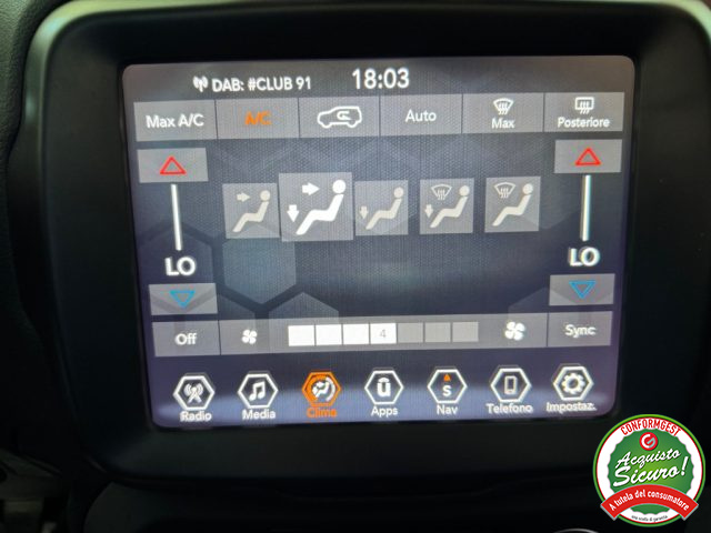 JEEP Renegade usata, con Fendinebbia