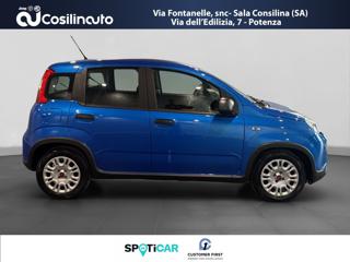 FIAT Panda usata, con Antifurto