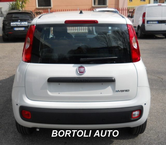 FIAT Panda usata, con Antifurto