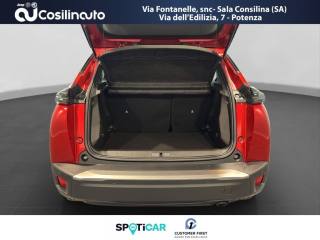 PEUGEOT 2008 usata, con USB