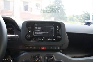 FIAT Panda usata, con Servosterzo