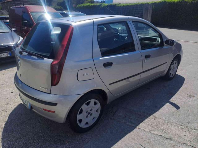FIAT Punto usata 15