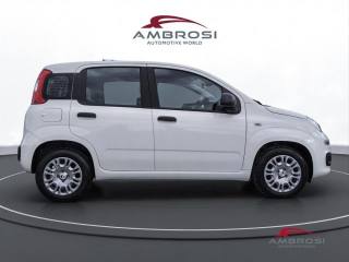 FIAT Panda usata 4