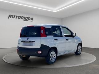 FIAT Panda usata, con Airbag Passeggero