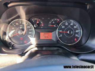 FIAT Punto usata 11