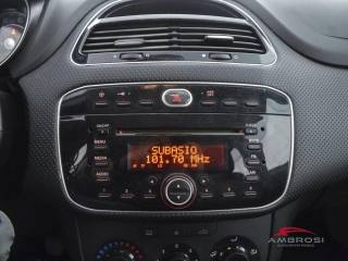 FIAT Punto usata 13