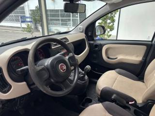 FIAT Panda usata, con Airbag posteriore