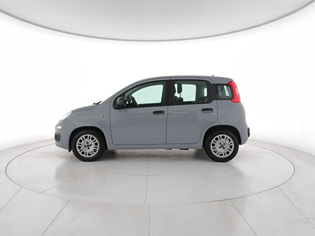 FIAT Panda usata, con Airbag Passeggero