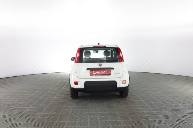 FIAT Panda usata 4