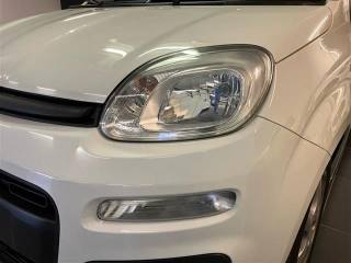FIAT Panda usata 6