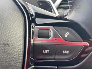 PEUGEOT 3008 usata, con Cruise Control