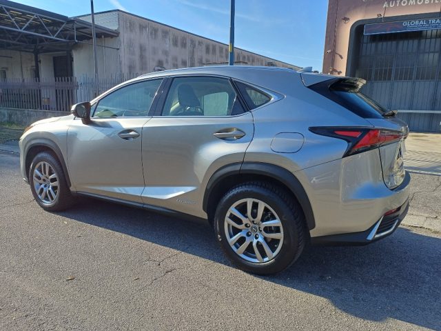 LEXUS NX 300 usata, con Airbag laterali