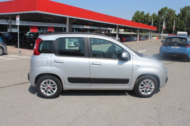 FIAT Panda usata 19