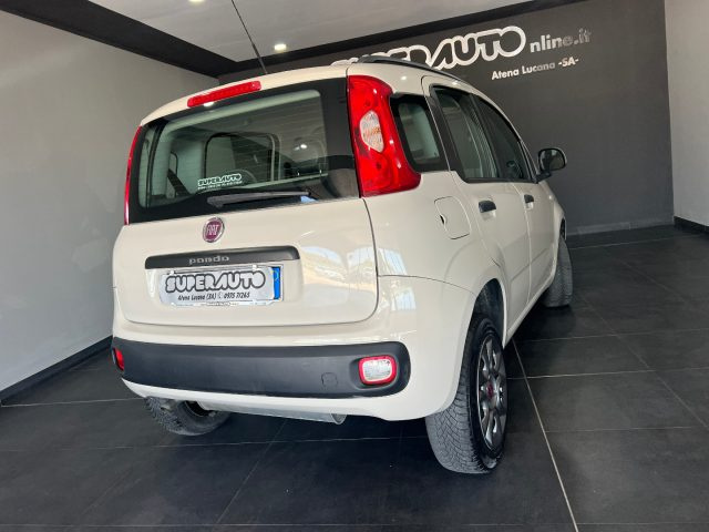 FIAT Panda usata, con Airbag Passeggero
