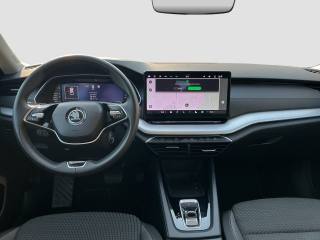 SKODA Octavia usata 10