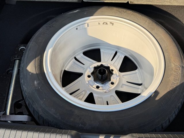 VOLKSWAGEN Golf usata, con Servosterzo