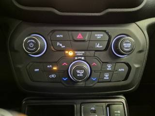 JEEP Renegade usata, con Vivavoce
