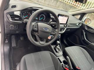 FORD Fiesta usata, con Vetri oscurati