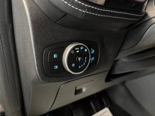 FORD Fiesta usata, con Volante in pelle