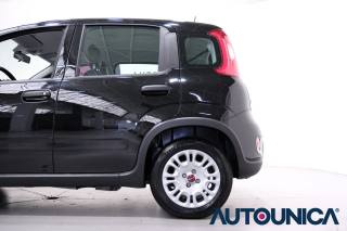 FIAT Panda usata 38