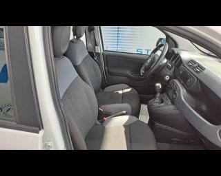 FIAT New Panda usata 14