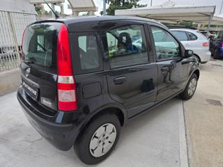 FIAT Panda usata 7