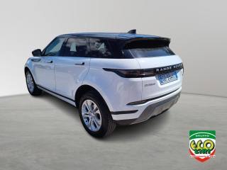 LAND ROVER Range Rover Evoque usata, con Airbag Passeggero