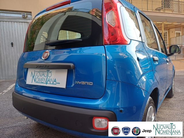 FIAT Panda usata, con Controllo trazione
