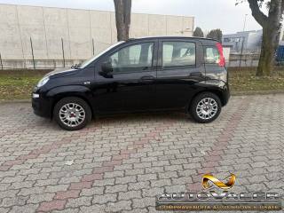 FIAT Panda usata, con Chiusura centralizzata