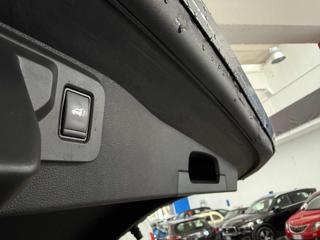RENAULT Austral usata, con Immobilizzatore elettronico