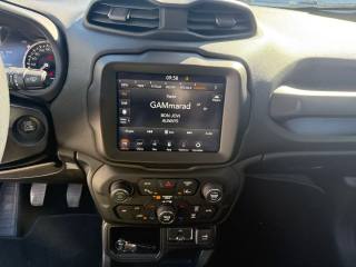JEEP Renegade usata, con Autoradio digitale