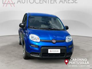 FIAT Panda usata, con Controllo trazione