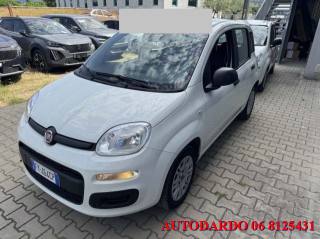 FIAT Panda usata, con Immobilizzatore elettronico
