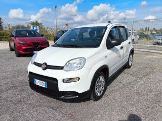 FIAT Panda usata 2