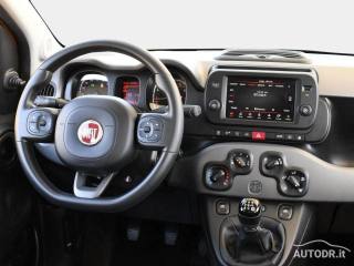 FIAT Panda usata 26