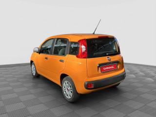 FIAT Panda usata 2