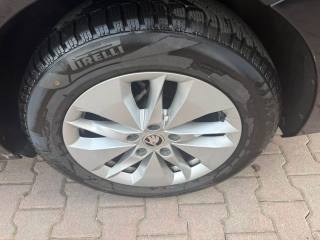 SKODA Octavia usata, con Fendinebbia