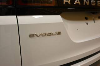 LAND ROVER Range Rover Evoque usata 103