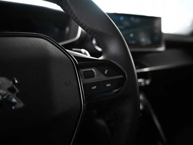 PEUGEOT 3008 usata, con Sedile posteriore sdoppiato