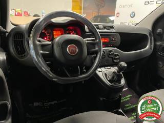 FIAT Panda usata, con Servosterzo